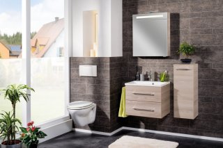 FM LED Ogledalo z omarico 60x71x16.1cm, Alaska Esche