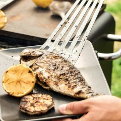 Obračalka BBQ
